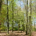 Vakantiehuis De Baander