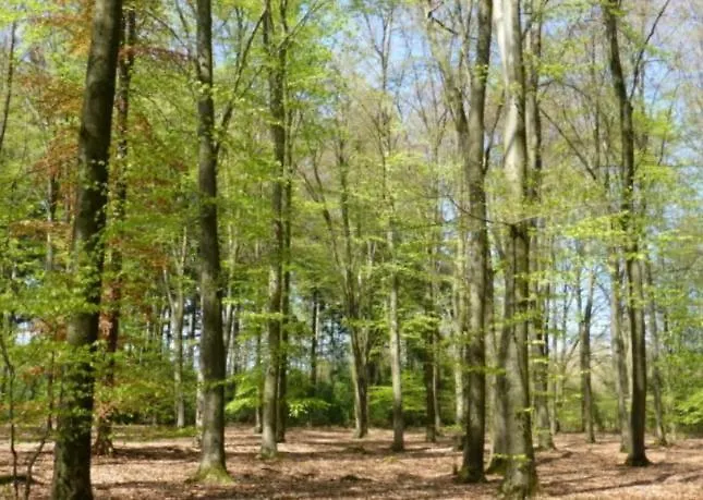 Holiday home De Baander